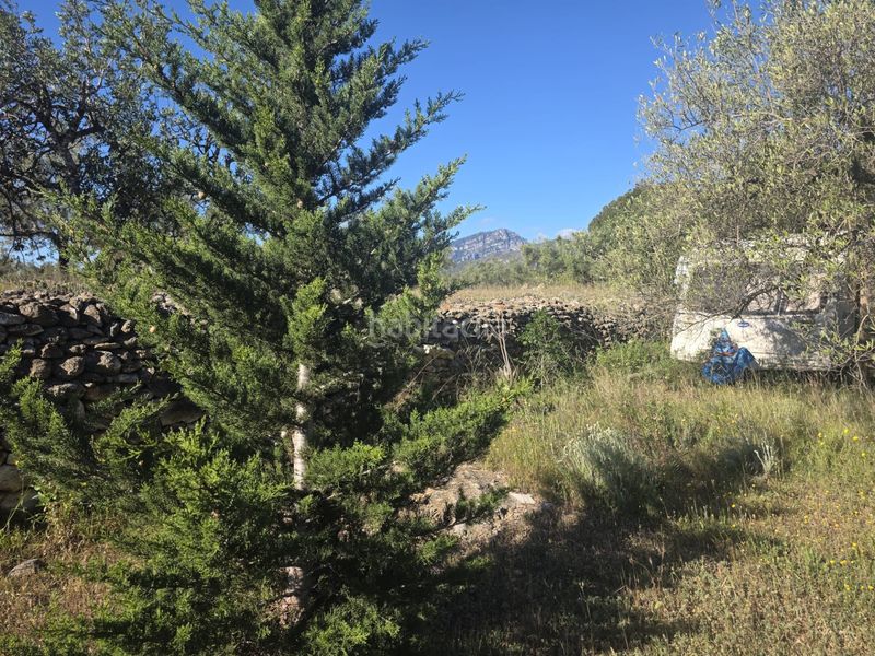 Foto d7b4f23d-fd3f-4dc6-97ef-d464a6767928. Finca rústica a Aldover