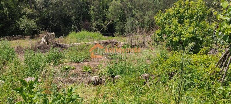 Foto fd598dfe-11a3-4eff-83e4-57fa40f0d845. Casa in Toén