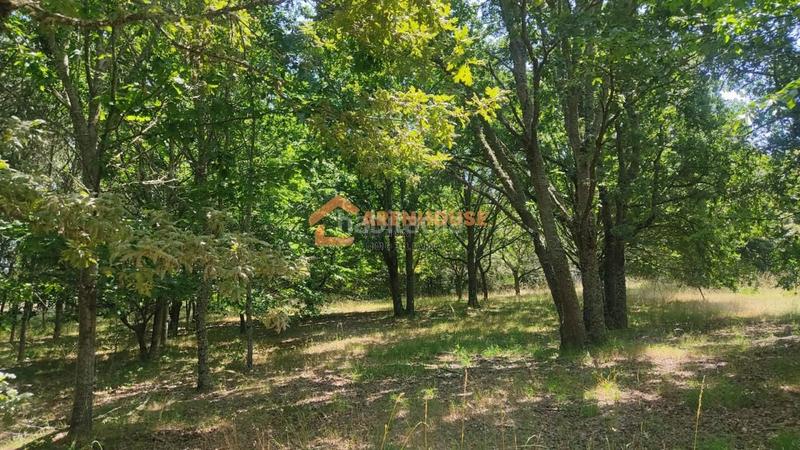 Foto 4125599b-d72c-4004-b2de-bfc545f613cd. Terreny residencial a San Cibrao das Viñas