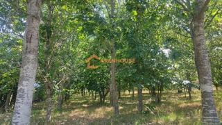 Terreno residenziale in San Cibrao das Viñas