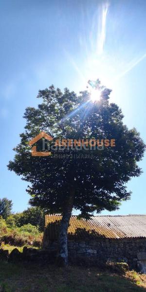 Foto 9c453791-a8aa-43a7-a839-23c3cbf44254. House in Carballiño (O)