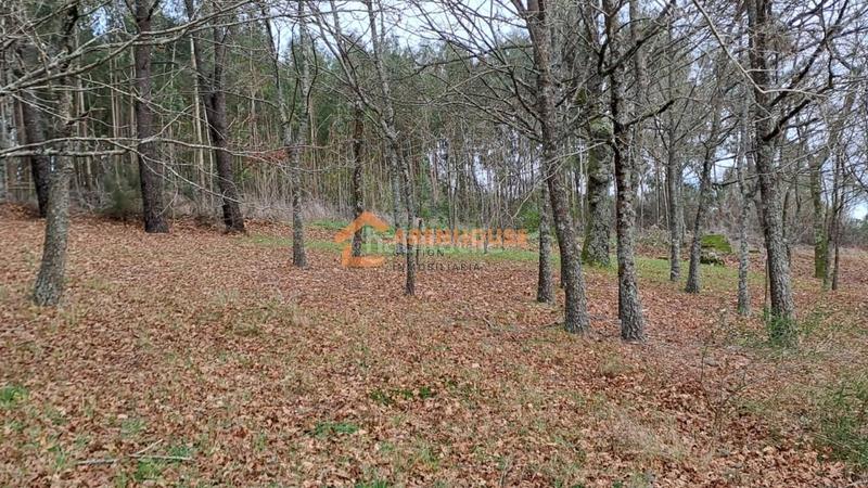 Foto 62316591-84d2-49b4-bfda-ccbbe7758b86. House with heating in Peroxa (A)