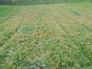 Terrain résidentiel à Carballiño (O)