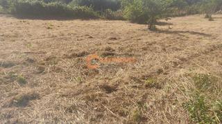 Terreny residencial a San Cibrao das Viñas