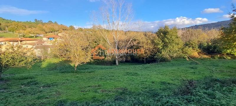 Foto 89ba795f-eb31-41f1-9047-c0bedb6d0dad. Terreny residencial a Celanova