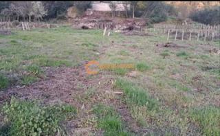 Terreny residencial a Cenlle