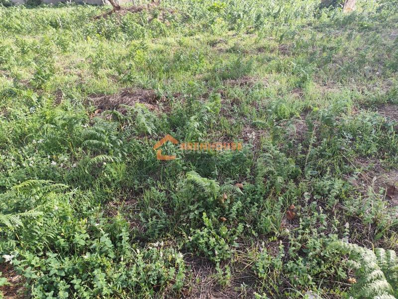 Foto 68ff6ac8-7b87-4a96-b43a-86d647ecdfed. Terreny residencial a Cenlle