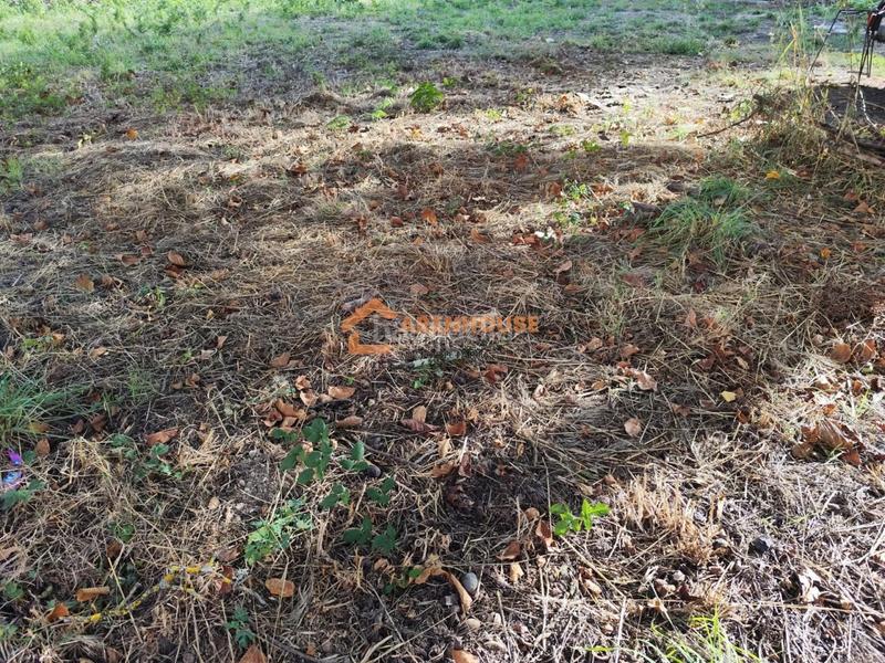 Foto 6f3773f8-71eb-4a12-9b3a-557a2b38b230. Terreny residencial a Cenlle