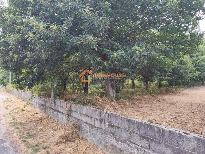 Foto 6b4ce168-27b9-4f8a-b434-1e4276b40567. Terreno residencial en Amoeiro