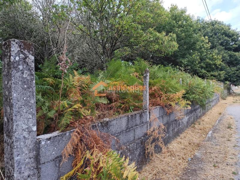 Foto a49a902c-1e19-491d-aeb2-59d18362af96. Terreno residencial en Amoeiro