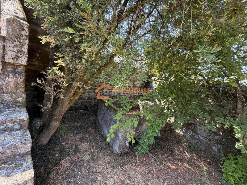 Foto f55e6c4b-34b2-4a1c-8917-b4f4cc5bf3e8. Casa en San Cristovo de Cea