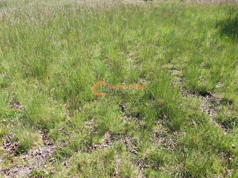 Foto a1f43bc3-f684-4201-80c6-a7e09521998b. Terreno residencial en Celanova