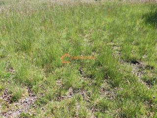 Terreno residenziale in Celanova