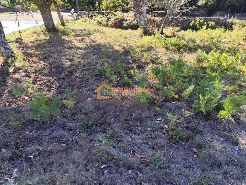 Foto 6e8965c5-0192-4201-8790-9ef0973a2515. Residential plot in Amoeiro