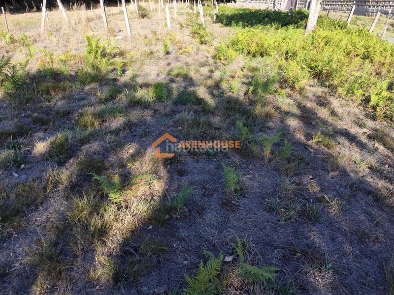 Foto 74b00f48-e90a-4332-bd1a-1433f6b71089. Residential plot in Amoeiro