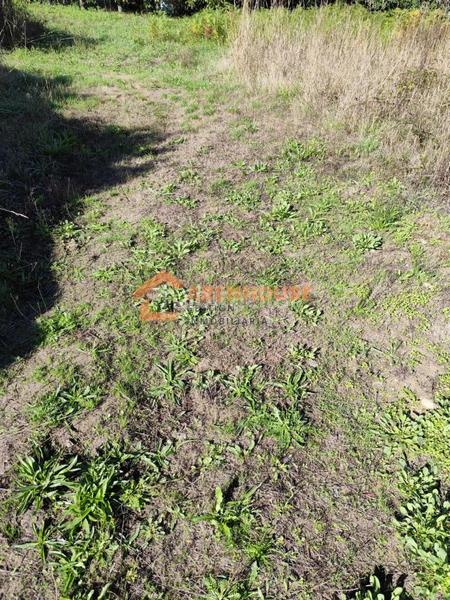 Foto d76ba269-caaf-4434-a3ce-9639345078f8. Casa amb calefacció aparcament a Irixo (O)