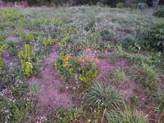 Residential Plot in Maside