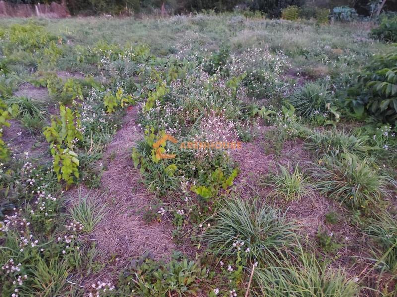 Foto 675ebf68-bf69-4e26-bd82-17ed906c7662. Wohngrundstück in Maside