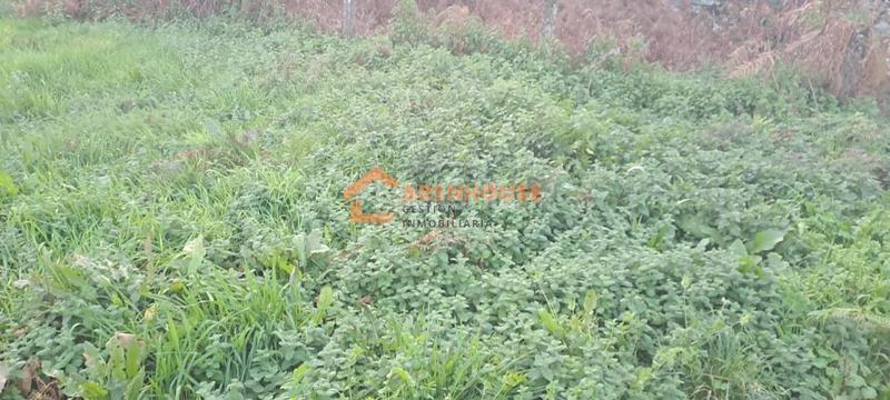 Foto c3ad9099-f3fa-4ded-a882-03fd6c9f8be1. Casa amb calefacció aparcament a Celanova