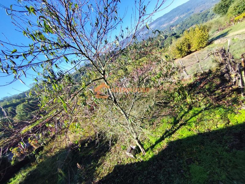 Foto b8171629-6ff1-4c70-92a5-06ed73bbff4e. Casa en San Amaro