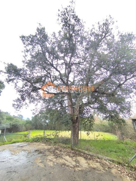 Foto 8cb7f536-7334-4670-bc54-db4de258df03. Casa amb calefacció aparcament a Barbadás