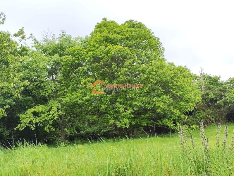 Foto 441a8295-b916-4646-8899-bb26a38c6f4b. Finca rústica a Bande