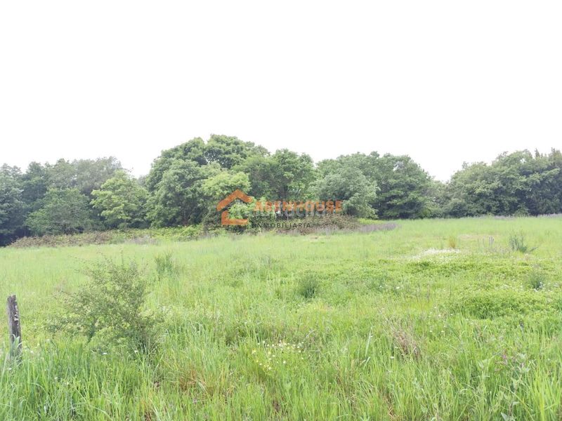 Foto 6ab2393f-eee8-453a-8d4b-7503268e468c. Finca rústica a Bande