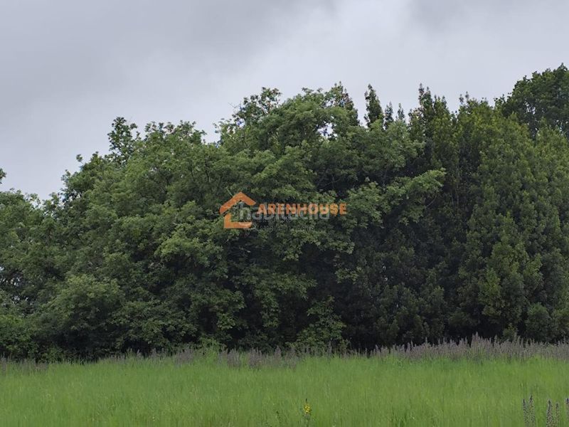 Foto 930b0e22-0be7-49a4-b0c3-0dc8582be82d. Finca rústica a Bande