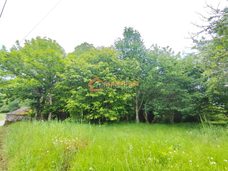 Foto aa0870cb-7182-47e3-94e1-54a9cd012011. Finca rústica a Bande
