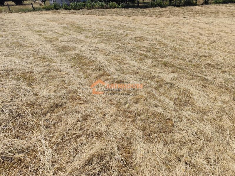 Foto aa733a04-c520-4bf8-b1e6-159700f37a55. Terreno residencial en Celanova