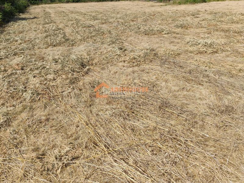 Foto e1b3a133-0ef1-4a90-a070-3b6252b5a359. Terreno residencial en Celanova