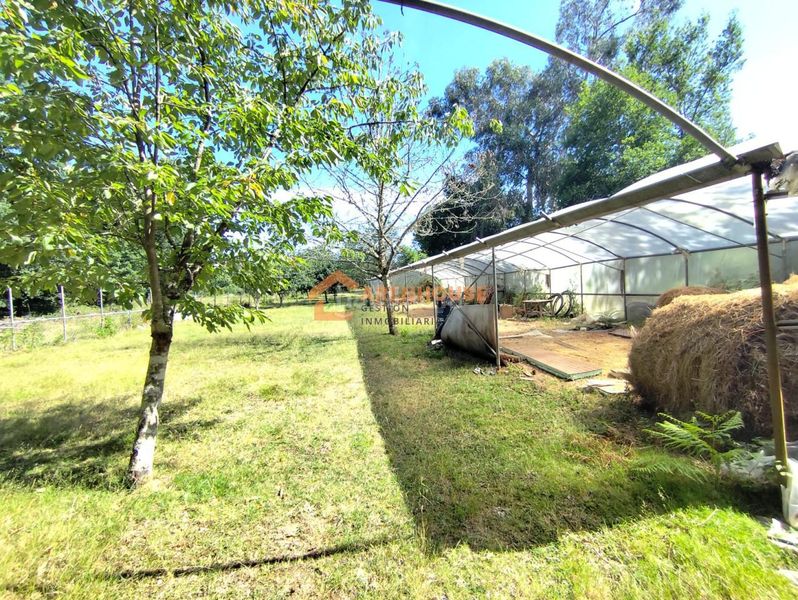 Foto db7b93c9-08e8-4a85-9952-38b67eca265a. Casa en San Amaro