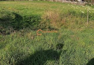 Terreno residenziale in Celanova