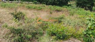 Terreno residenziale in Toén