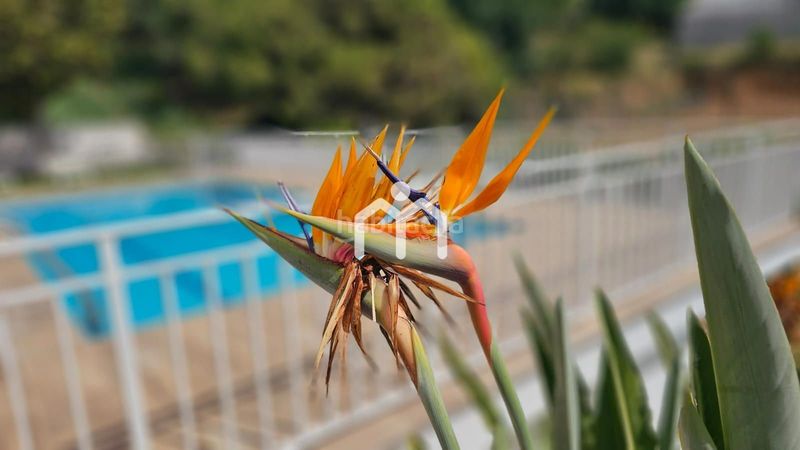 Foto bd091867-35a1-4337-9b31-4989587a926d. Casa amb calefacció aparcament piscina a Cabrils