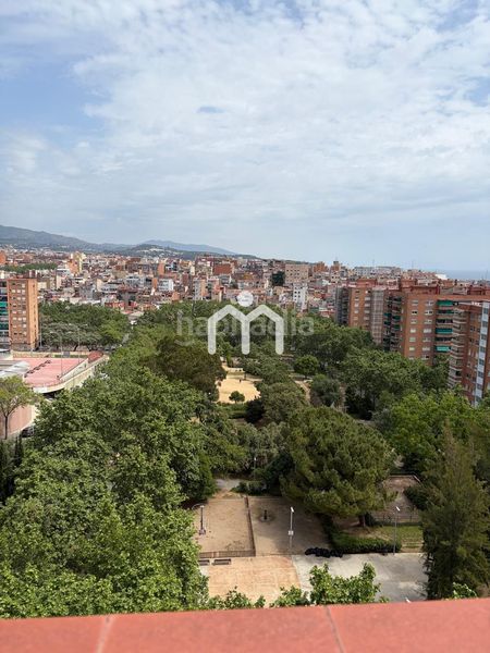 Foto 2984dd47-a851-4895-9122-e1810a513556. Pis amb calefacció a Lloreda Badalona