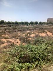 Terreny residencial a Palmosa, de 12. Suelo urbano residencial, av. palmosa doctor palos sagunto