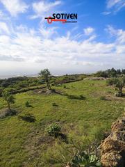 Terreny residencial a Tamaide - El Roque. Parc. rúst. en venta en san miguel de abona.