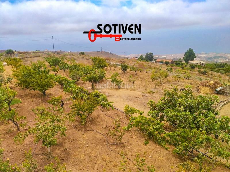 Foto 307e2761-0efd-45ae-80e6-4e5267333ad8. Bauernhof in Tijoco Bajo Adeje