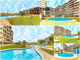 Miete Studiowohnung  Av. juan carlos i. Estudio en alquiler en los cristianos.
