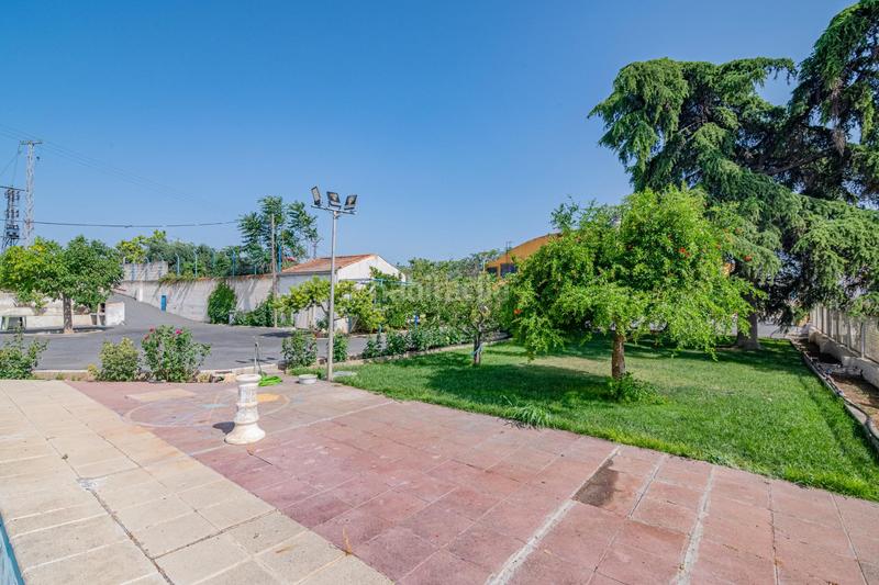 Foto 23547ab2-4b7a-4c41-bda1-29008932bfcc. Local commercial dans carretera carretera de motril 117. Alhendín 117 dans Alhendín