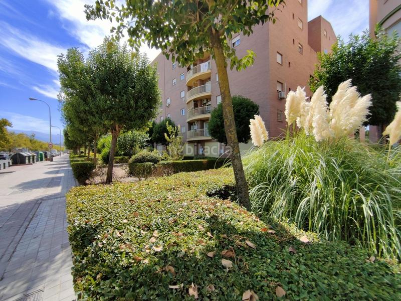 Foto 54802c29-9eef-49d6-a5b0-db7f902213f5. Rent business premise in avenida Joaquina Eguaras in Granada