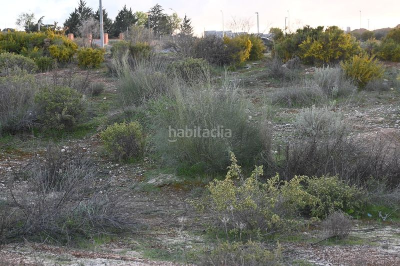 Foto 1ffaf05e-1970-446d-95e8-3ac084098e5e. Terreno residenziale in calle abelia 13 in Villa de Otura