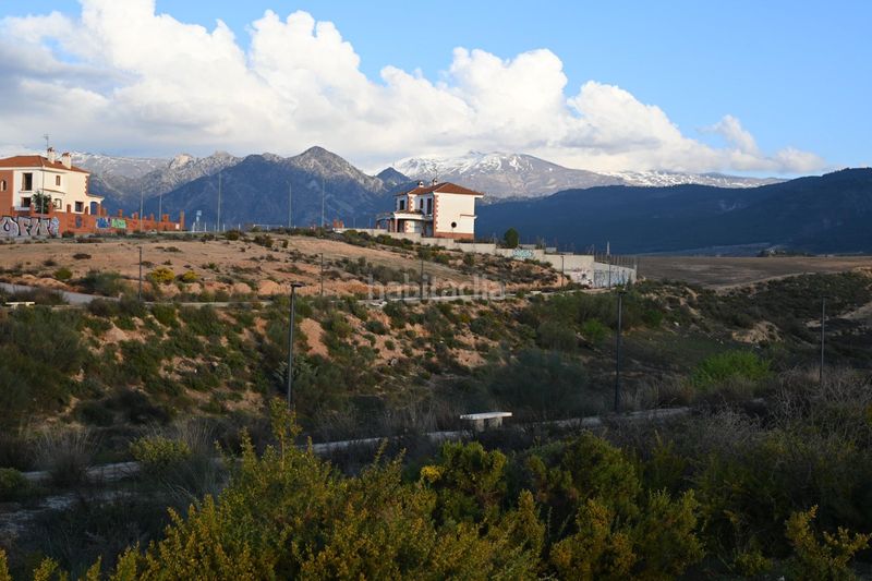 Foto a061d5fa-4440-4df4-a87e-267dbf22681f. Terreno residenziale in calle abelia 13 in Villa de Otura