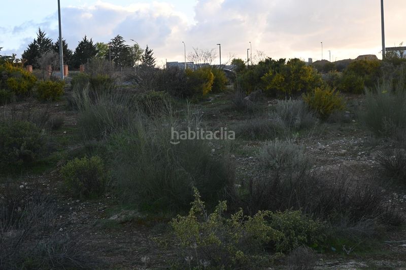 Foto a98f983b-17b5-40b3-ab13-56baa5489901. Terreno residenziale in calle abelia 13 in Villa de Otura