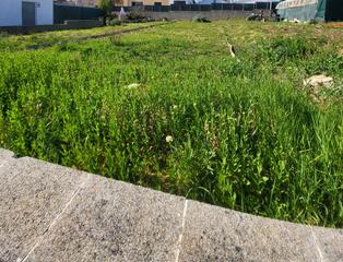 Terreny residencial a Carrer girona 11. Solar al centre de sils ideal per casa unifamiliar o  edifici pl