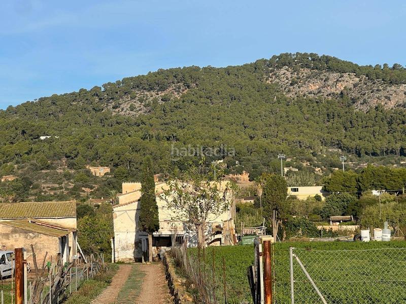 Foto 7aef99b9-bf12-464b-b472-65b4d491cf07. Bauernhof in Andratx Andratx