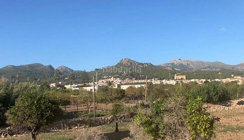 Foto ca51baea-1f2a-464e-bc6e-9991527277d0. Bauernhof in Andratx Andratx