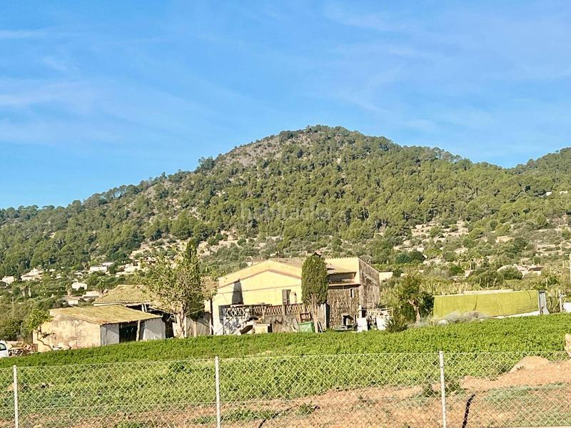 Foto cdde9938-8a80-4068-afaa-f8b0c6bc139d. Bauernhof in Andratx Andratx