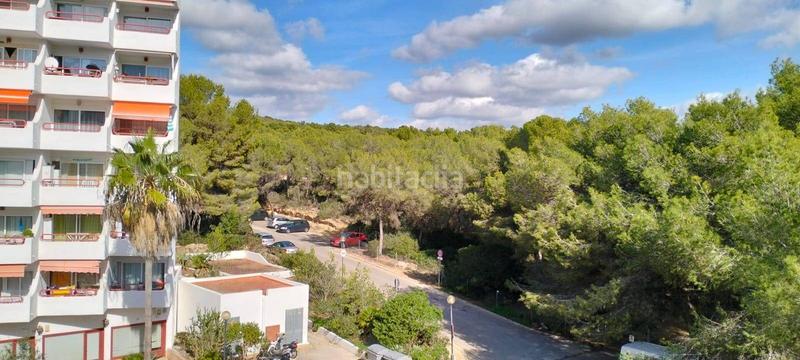 Foto 6fd95132-2499-4716-a0a5-ef1e0a56d4bf. Estudi a Costa de la Calma Calvià